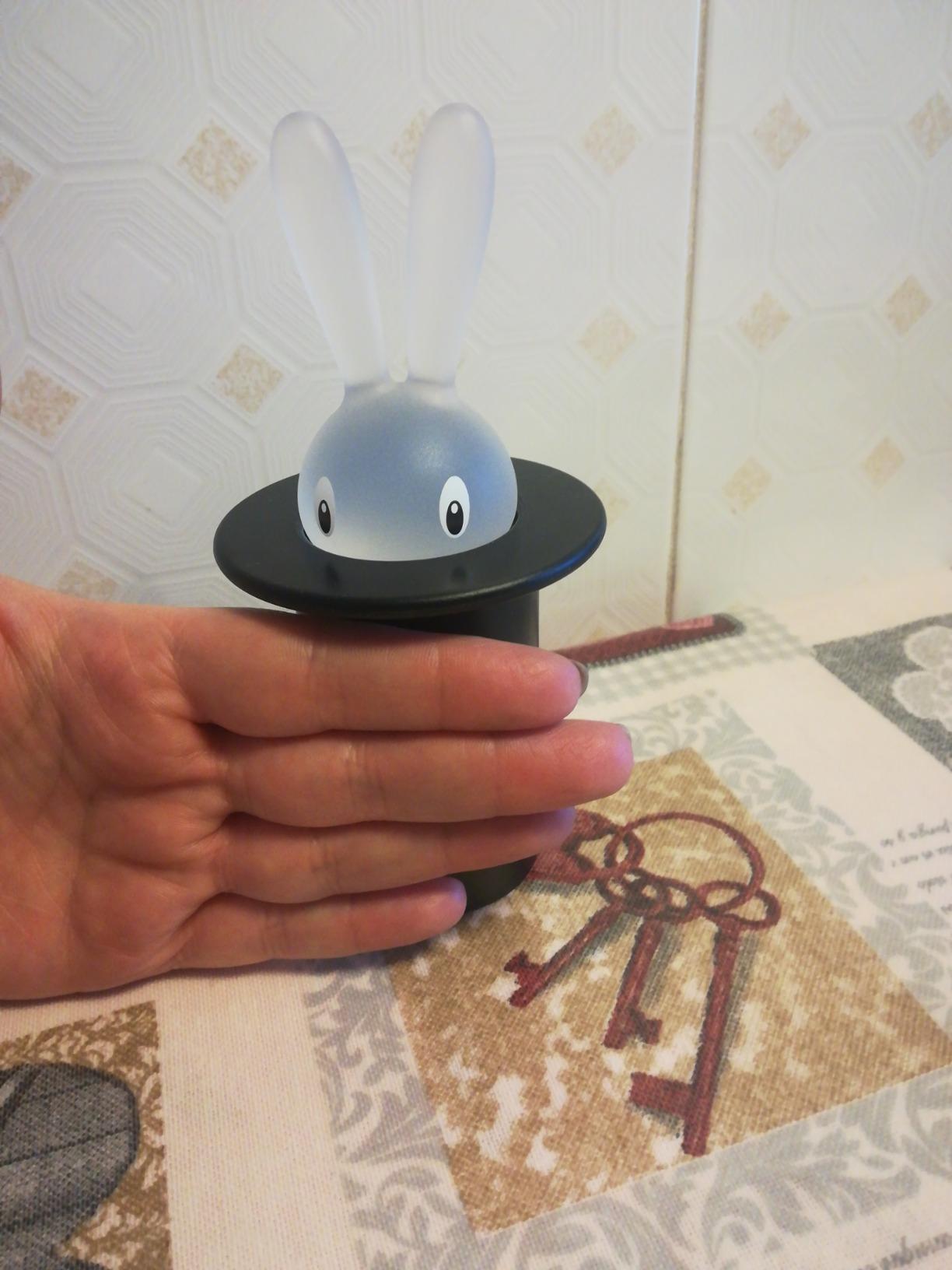 Alessi Magic Bunny ASG16 B Portastuzzicadenti Resina Nero 14 cm
