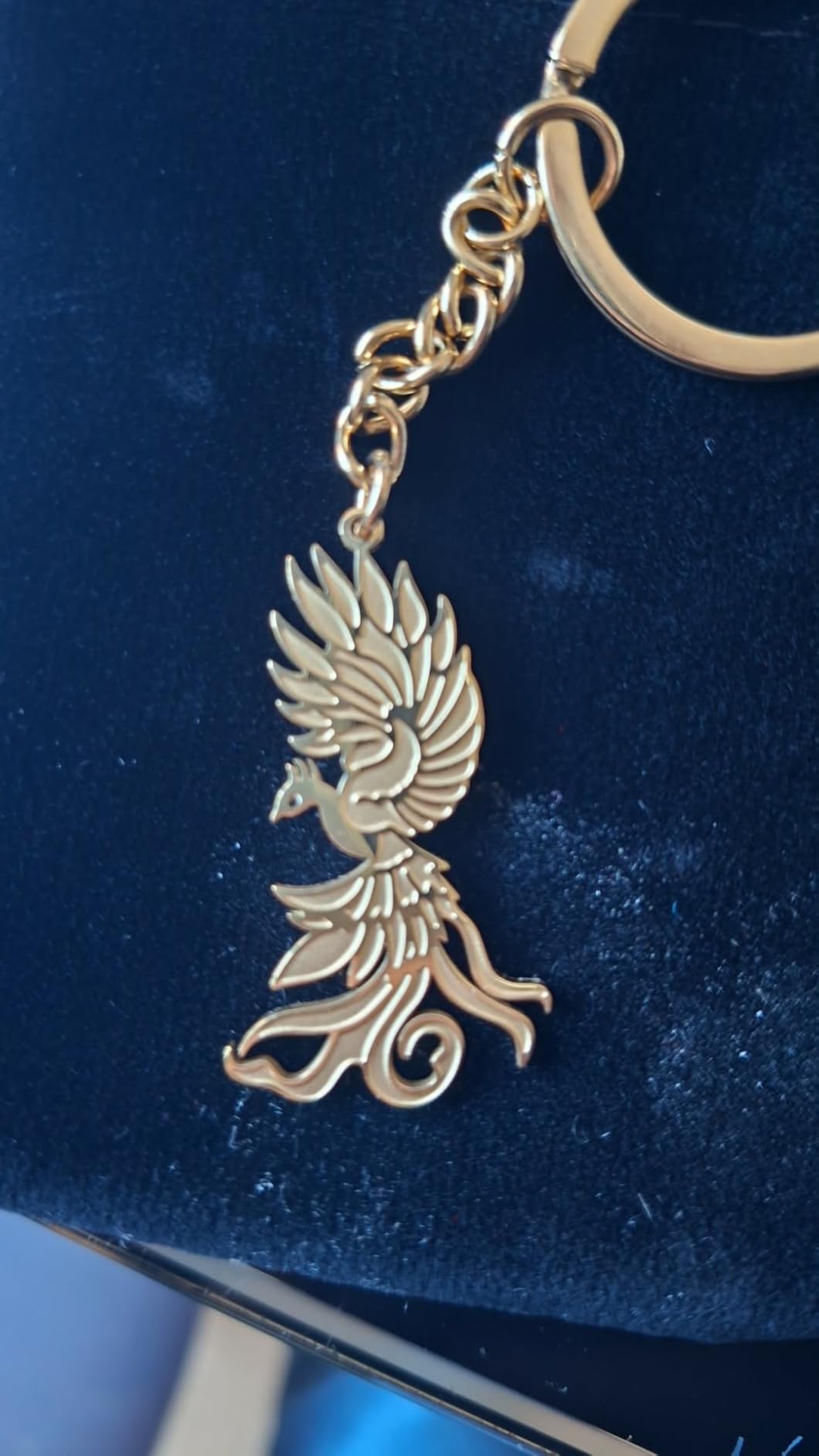 EUEAVAN Keyrings Portachiavi Fenice Argento Uccello Fuoco