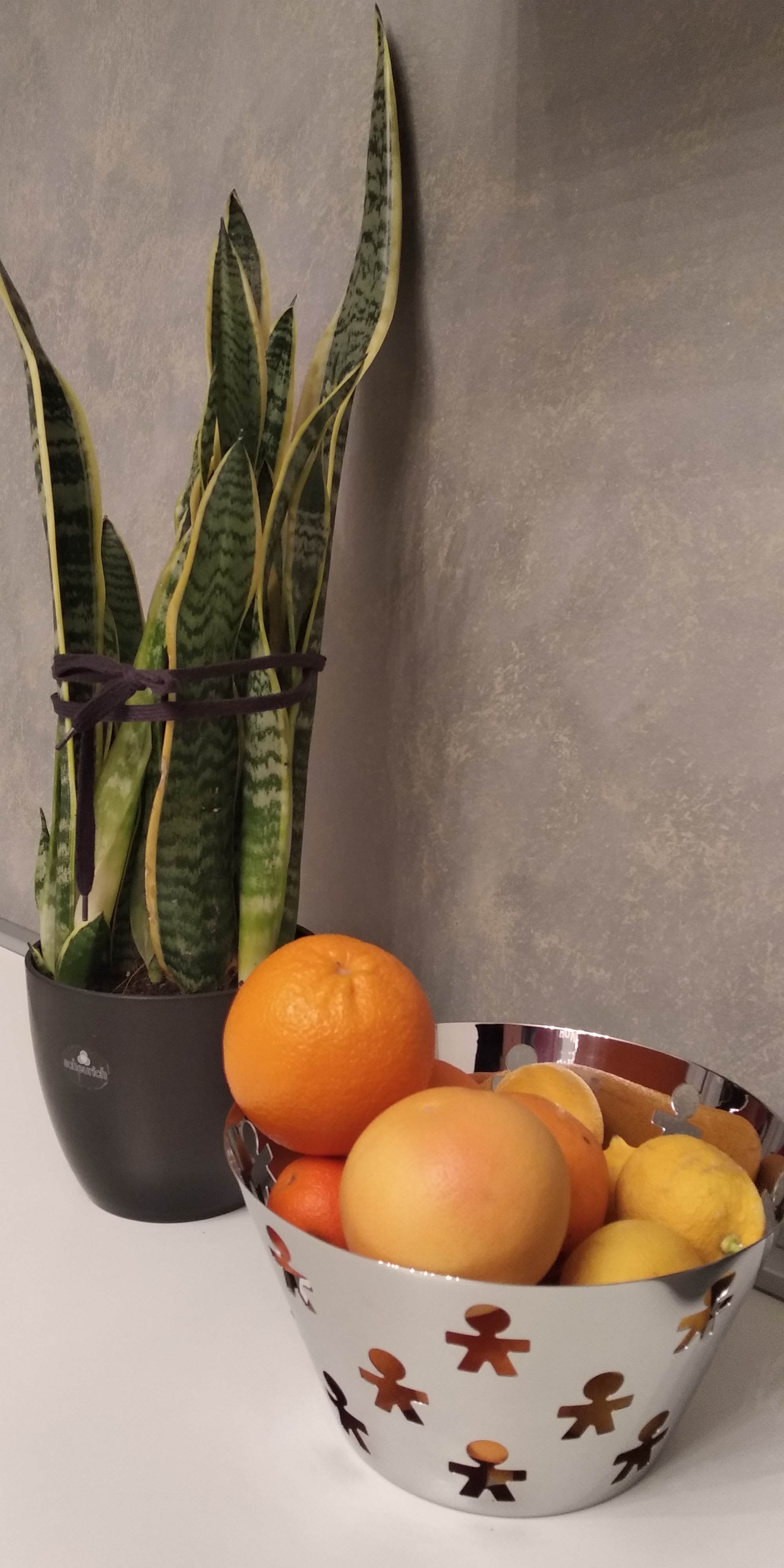 Alessi Girotondo AKK05 Fruttiera Acciaio Lucido 23 cm