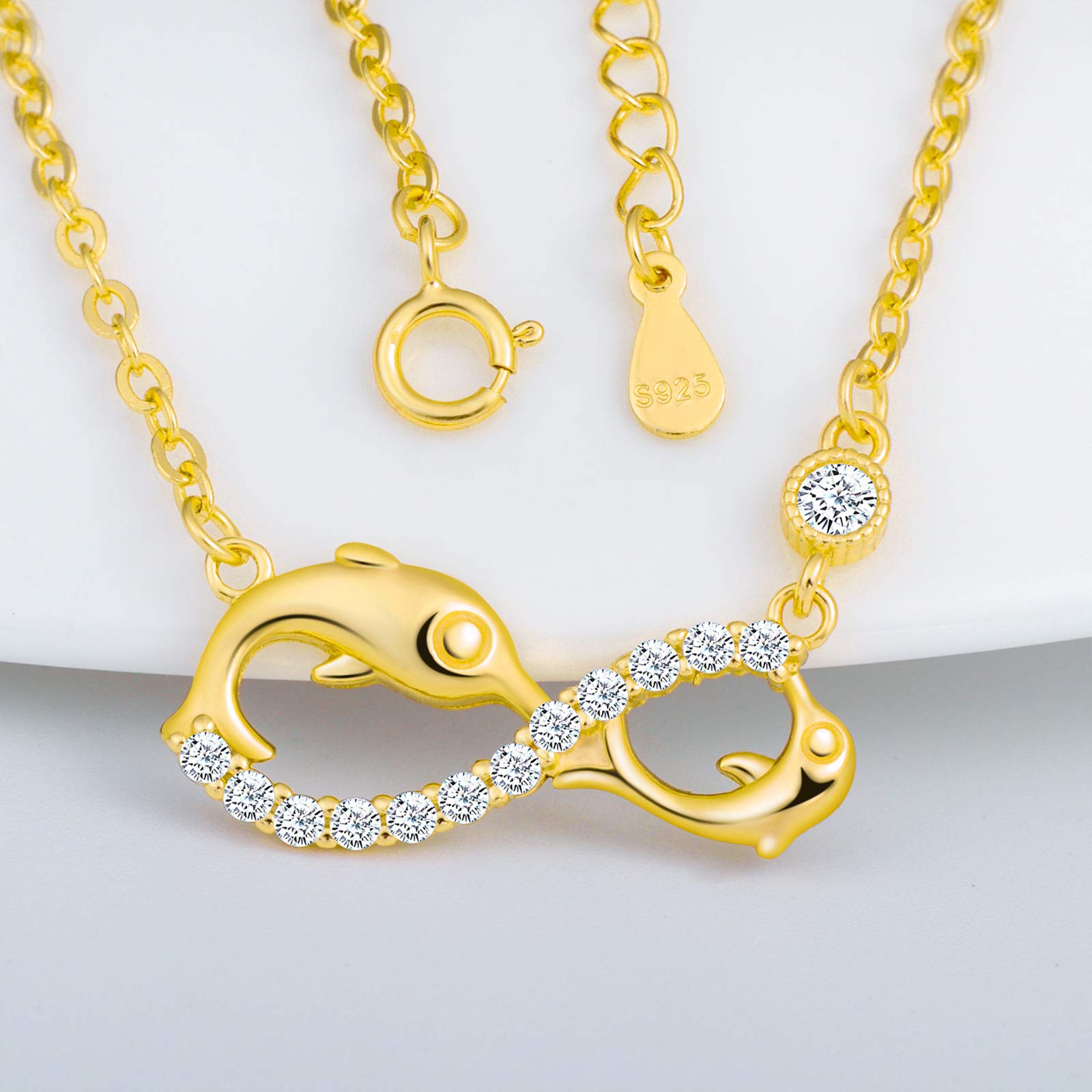 Infinionly Collana Oro Infinito Argento 925 Zirconia