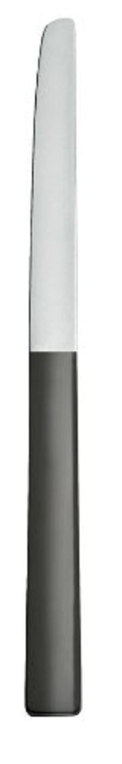 Alessi Santiago DC05/3 coltello tavola set 6 inox