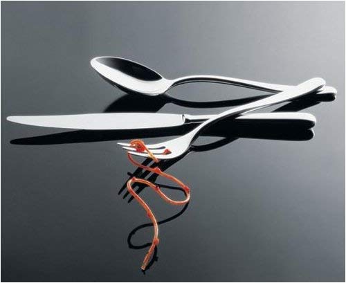 ALESSI Tavola LCD01S24 Caccia Set 24 Posate Acciaio 18/10